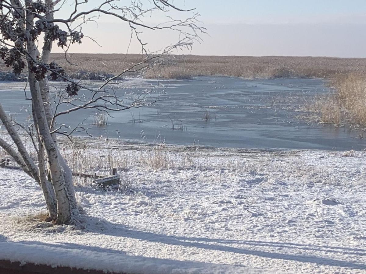 Lakeview & Wildlife Au Gres Kültér fotó